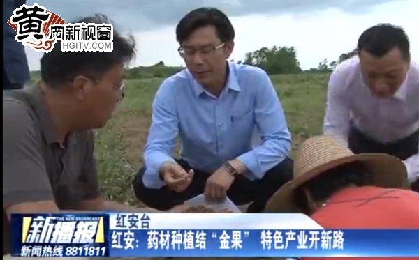 红安开发区动态资讯