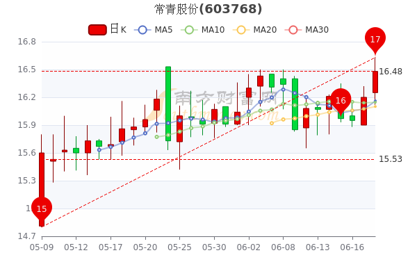 三花股份股票的日常故事,股市中的温情与友情纽带