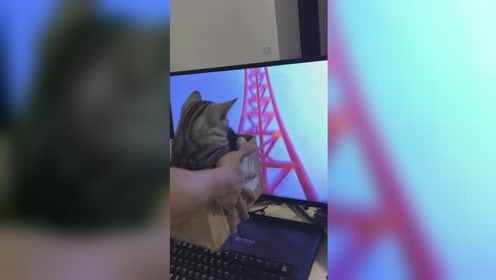 vivo最新喊麦达人小野哥,科技风潮的新领军者