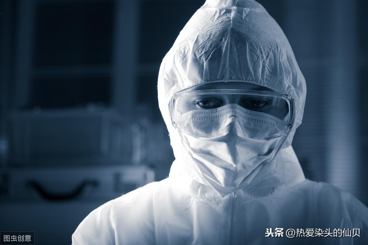 动物动漫画,一种跨越界限的艺术表现