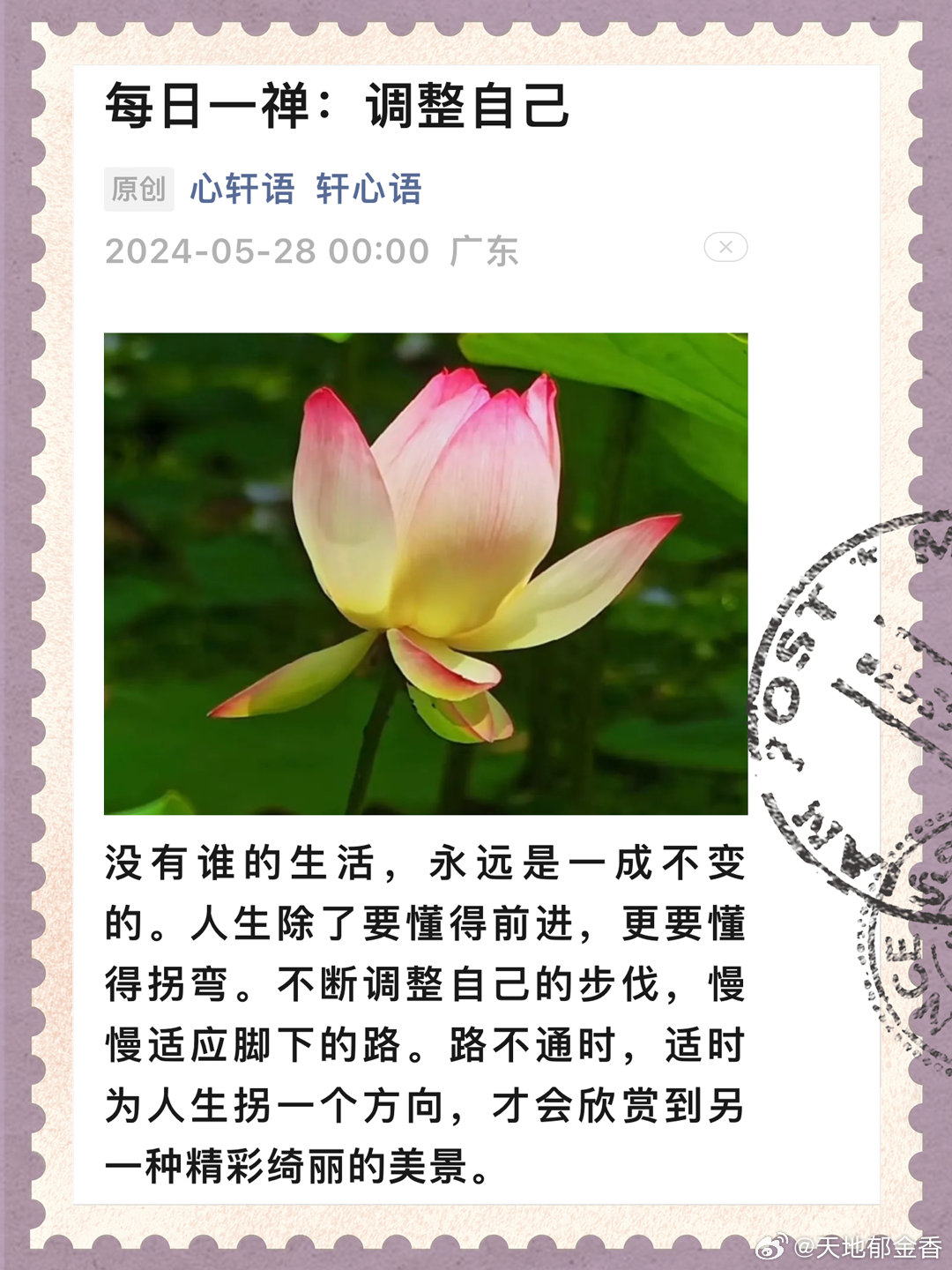 每日禅语精选🍃