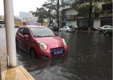 厦门暴雨最新消息,风雨中的励志篇章