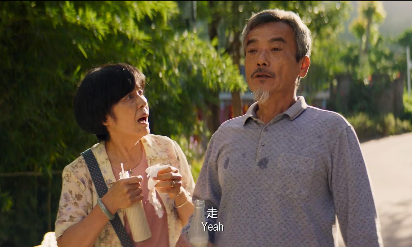 张琪演员,演技的深度与影响的多维度分析