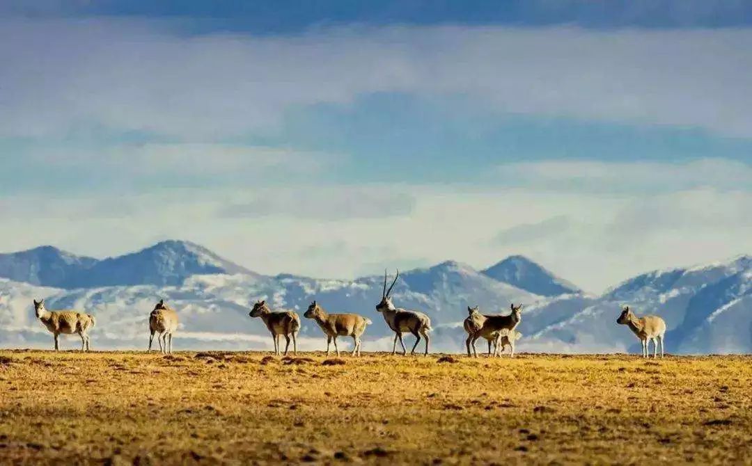 学而思股票,一场自然美景的探索之旅