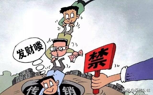 1040阳光工程最新动态