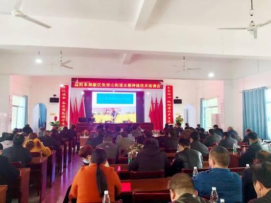 鱼形山街道最新资讯,观点阐述与分析