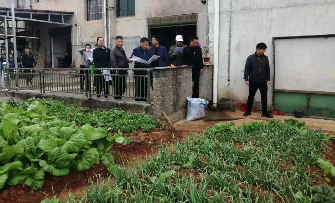 鱼形山街道最新资讯,观点阐述与分析