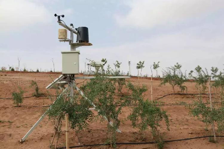 西安放鱼最新动态,科技赋能生态,重塑水域新纪元