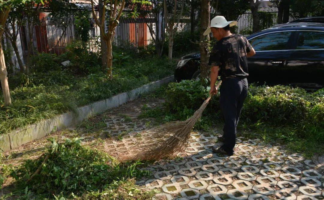湖北龙感湖动态资讯
