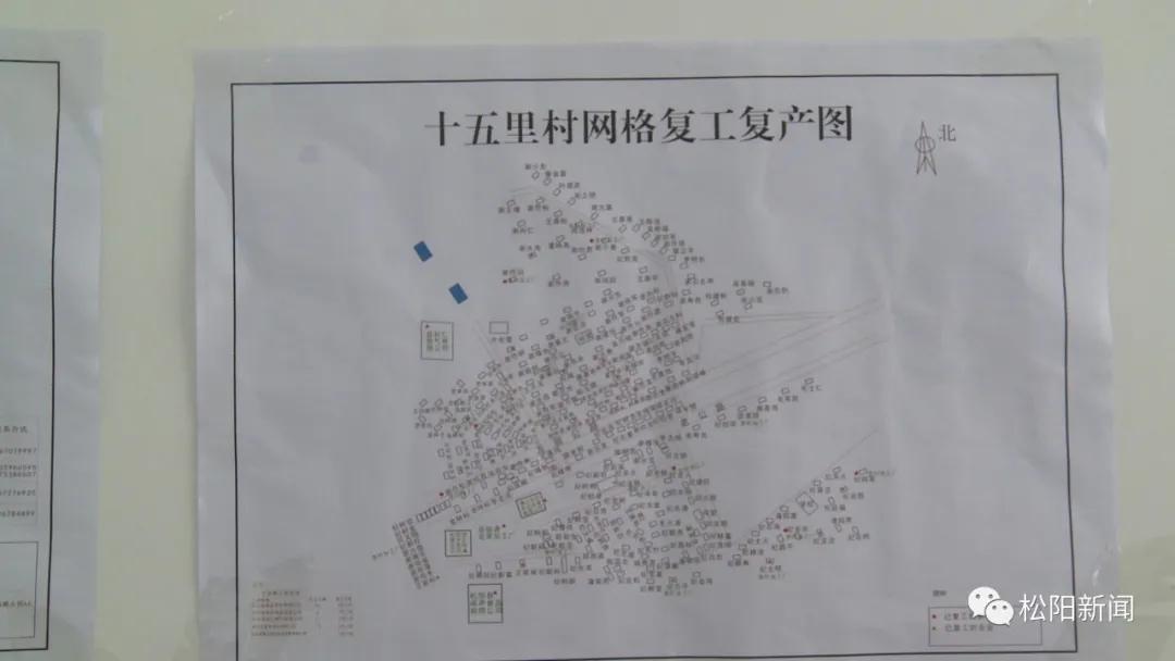 松阳疫情最新情况,疫情下的温情日常