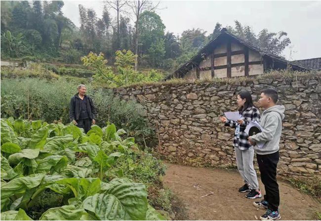 筠连巡司最新动态