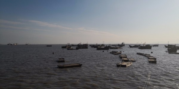 最新92油价,来一场说走就走的自然美景之旅