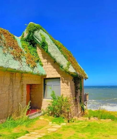 看图识明星,探秘小巷中的星光特色小店