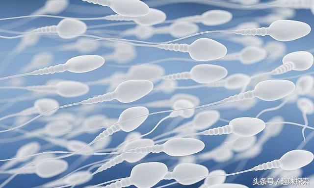 最新病毒数据,揭示未知与挑战的时代