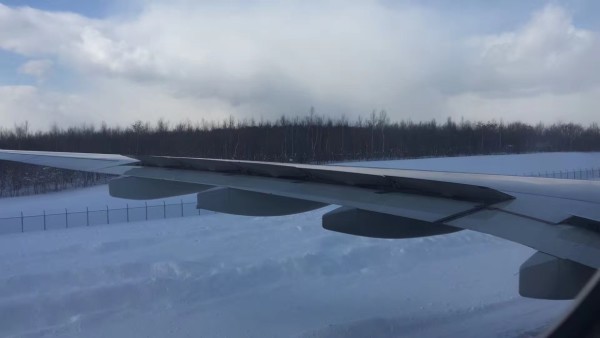 亭亭玉立 第2页