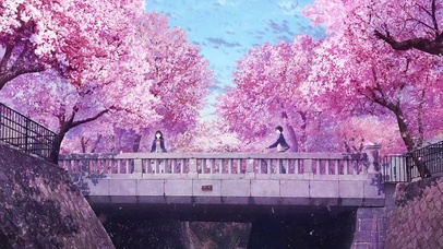 🌸缘之空,樱花动漫下的浪漫邂逅🌸