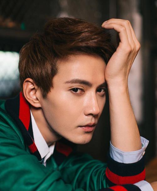 小红书推荐那些闪耀的俩字男明星,谁是你心中的星中之星?