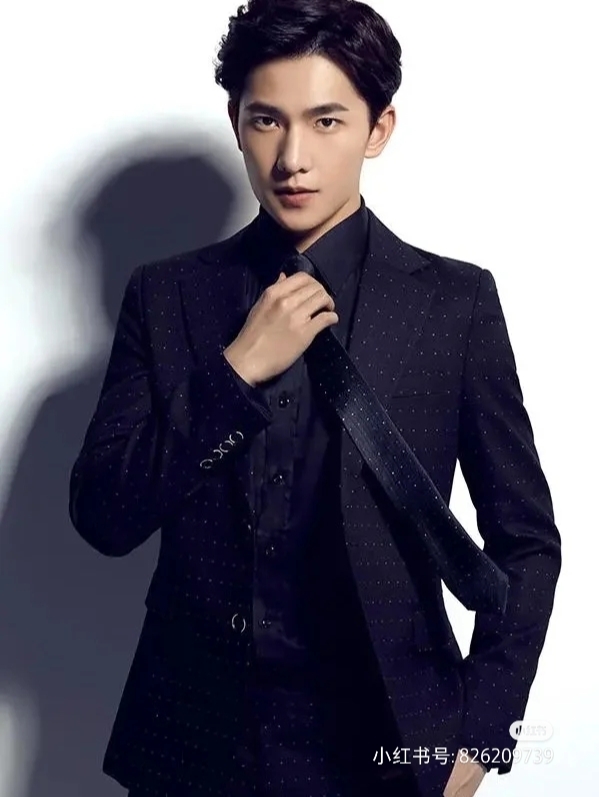 小红书推荐那些闪耀的俩字男明星,谁是你心中的星中之星?