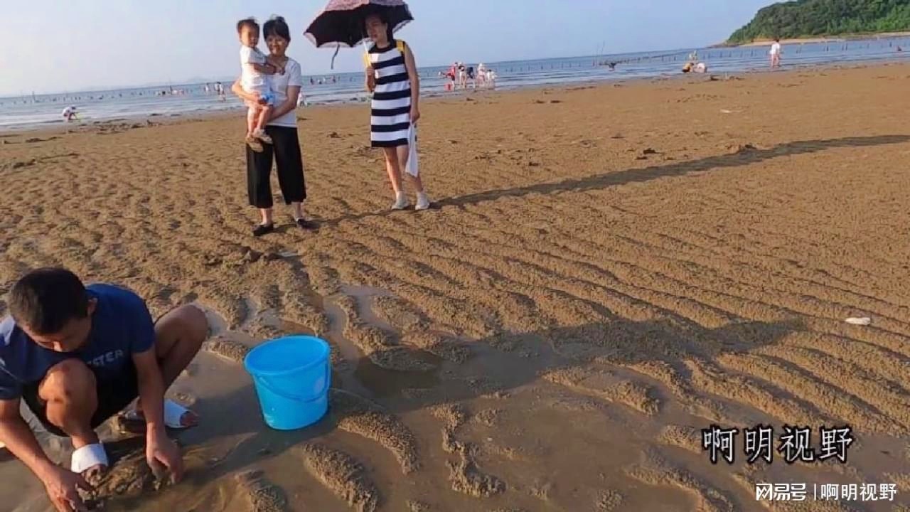 阿聪最新赶海趣事