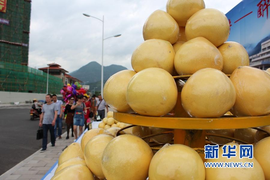最新致富神器,与自然美景共舞,寻找内心的平和与财富