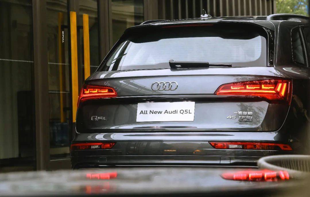 自闭症最新消息,变化中的希望与力量