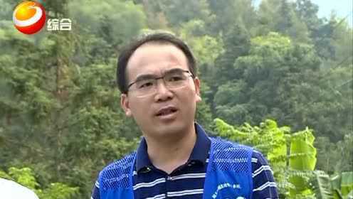 来宾市何大首的最新日常故事