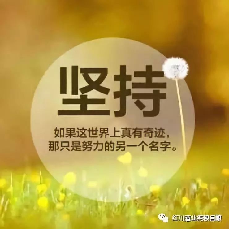 最新网络剧集,自信与成就感的源泉,励志与幽默并存