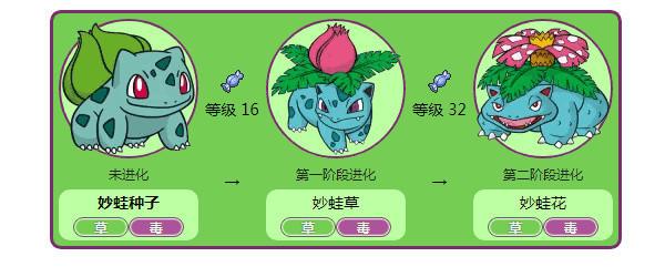 她有新动态,不断进化的勇气与学习的魅力