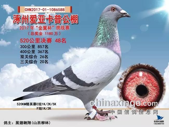 晋祠公棚最新资讯,观点论述