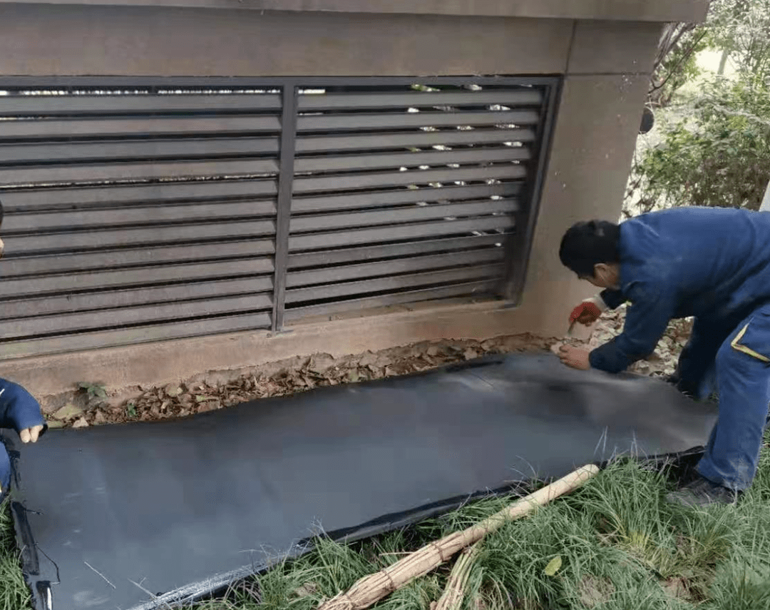 镍板价格背后的温馨故事