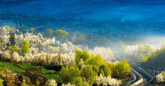 小董新作,与自然美景的邂逅,寻找内心的平和与喜悦