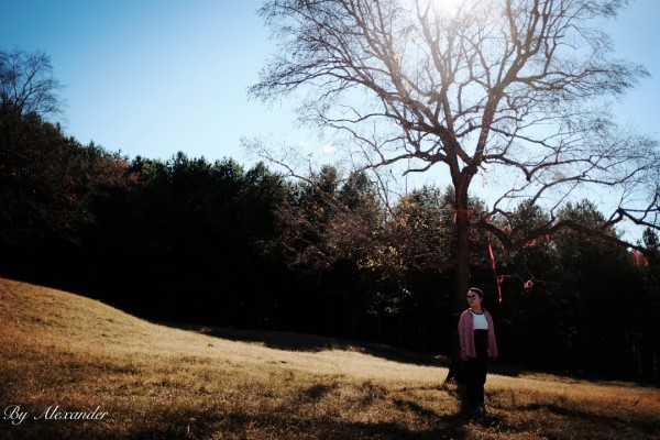 名字四个字的演员,探寻自然美景之旅