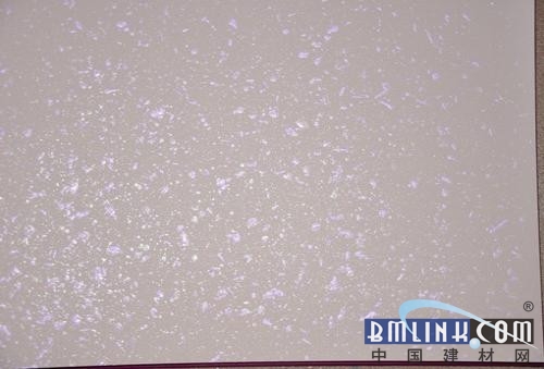 MBI最新动态,引领科技新潮流,改变生活品质