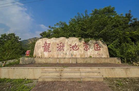 安徽卫视电视台的独特魅力✨