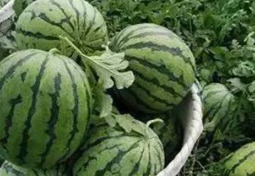 🌴海南疫情最新动态🌴