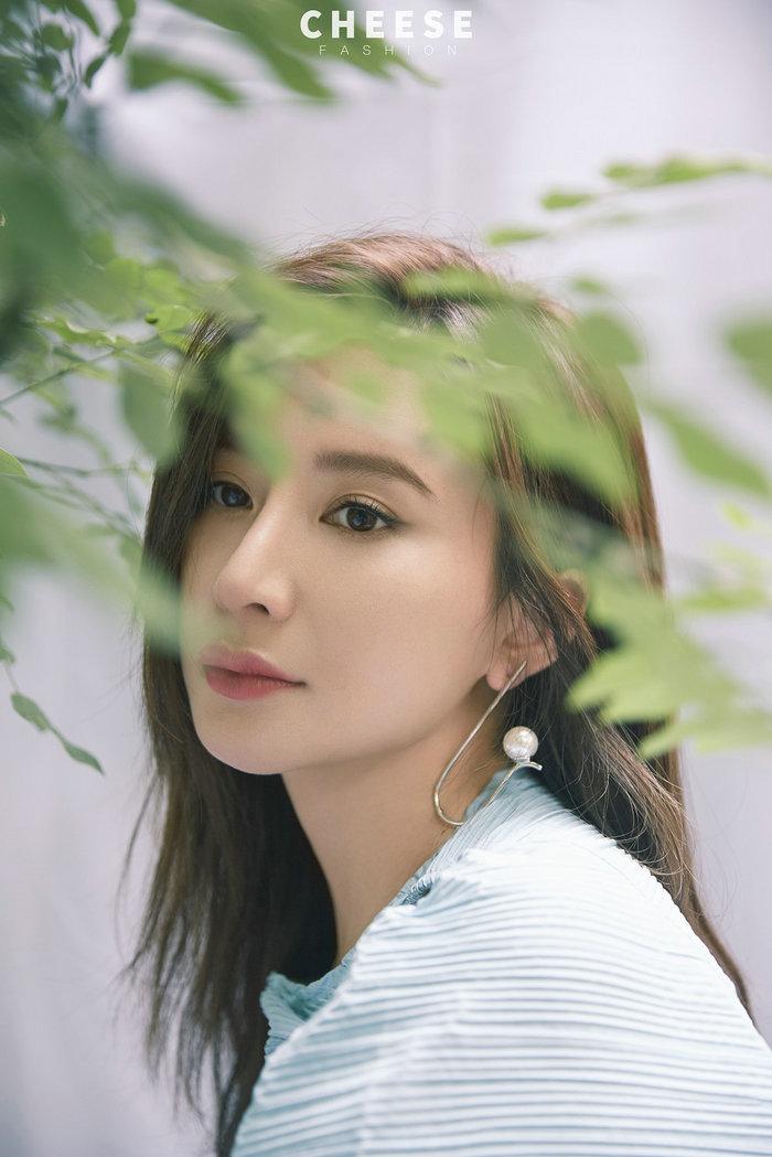 最新小熊故事,探索自然之旅,寻找内心的宁静与喜悦