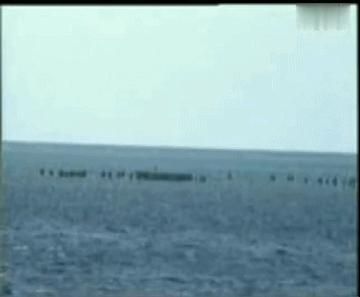 中印开枪最新,一段温馨的邻里日常故事