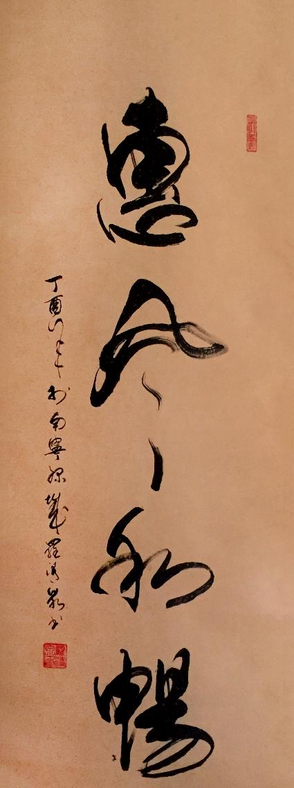 最新天奈,一场自然美景的探险之旅,寻找内心的平和与喜悦