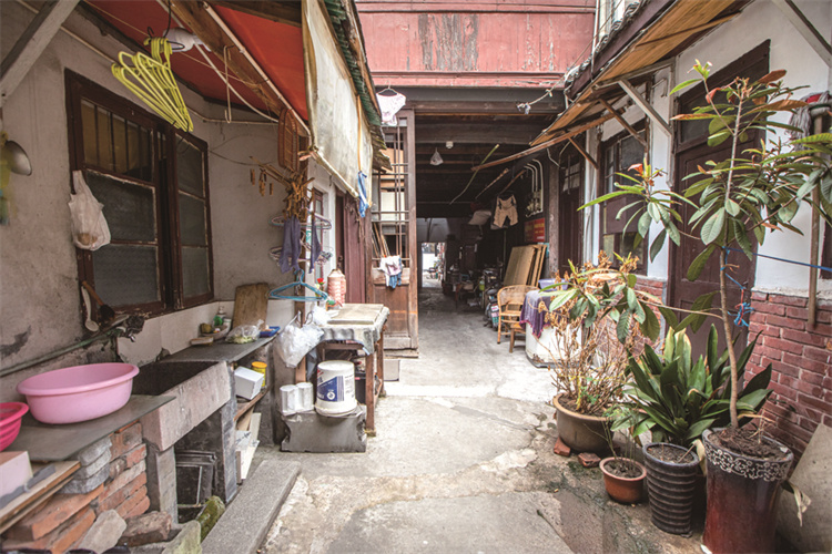 高州新闻 最新,小巷深处的独特味道,一家隐藏版特色小店惊艳亮相