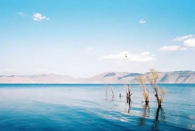 大理确诊最新,变化带来的自信与成就感,鼓舞人心