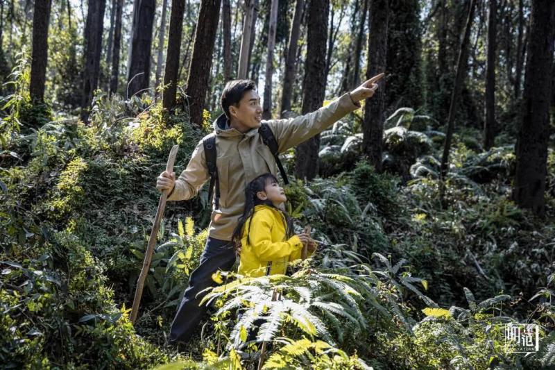 红毛哥最新探险,与大自然共舞,寻找内心的桃花源