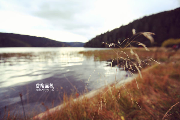 最新今日天气,一场自然的探索之旅,寻找内心的宁静与平和