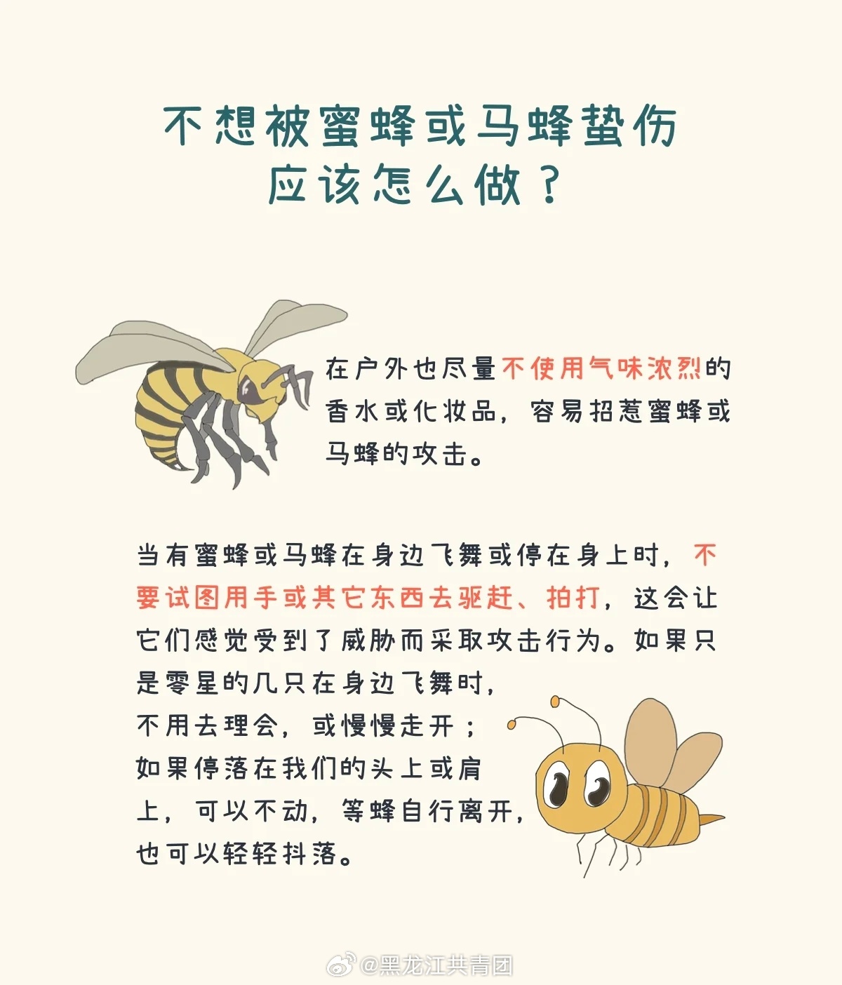 最新捕马蜂攻略大揭秘🐝