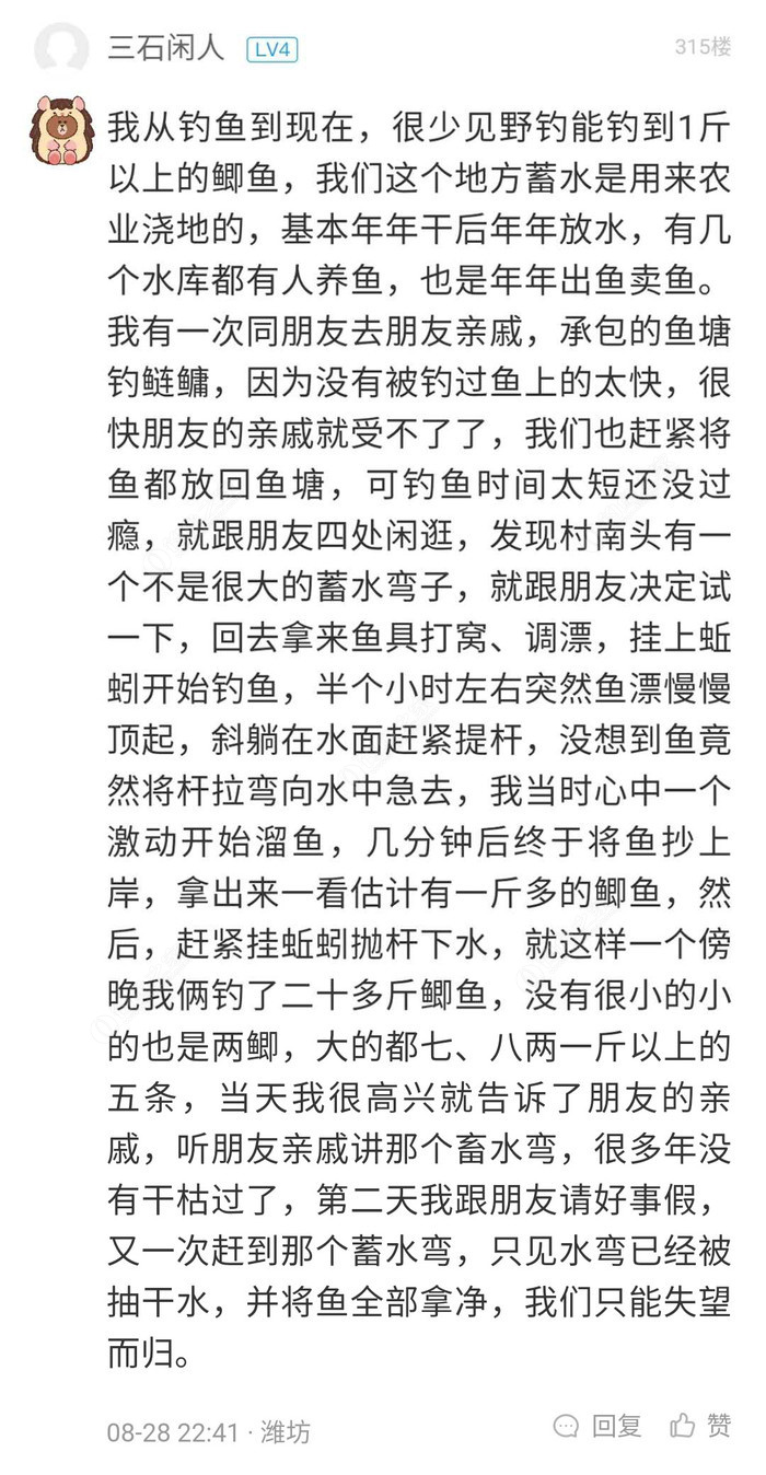 最新鱼信息,一场奇妙的钓鱼之旅与友情的温馨故事