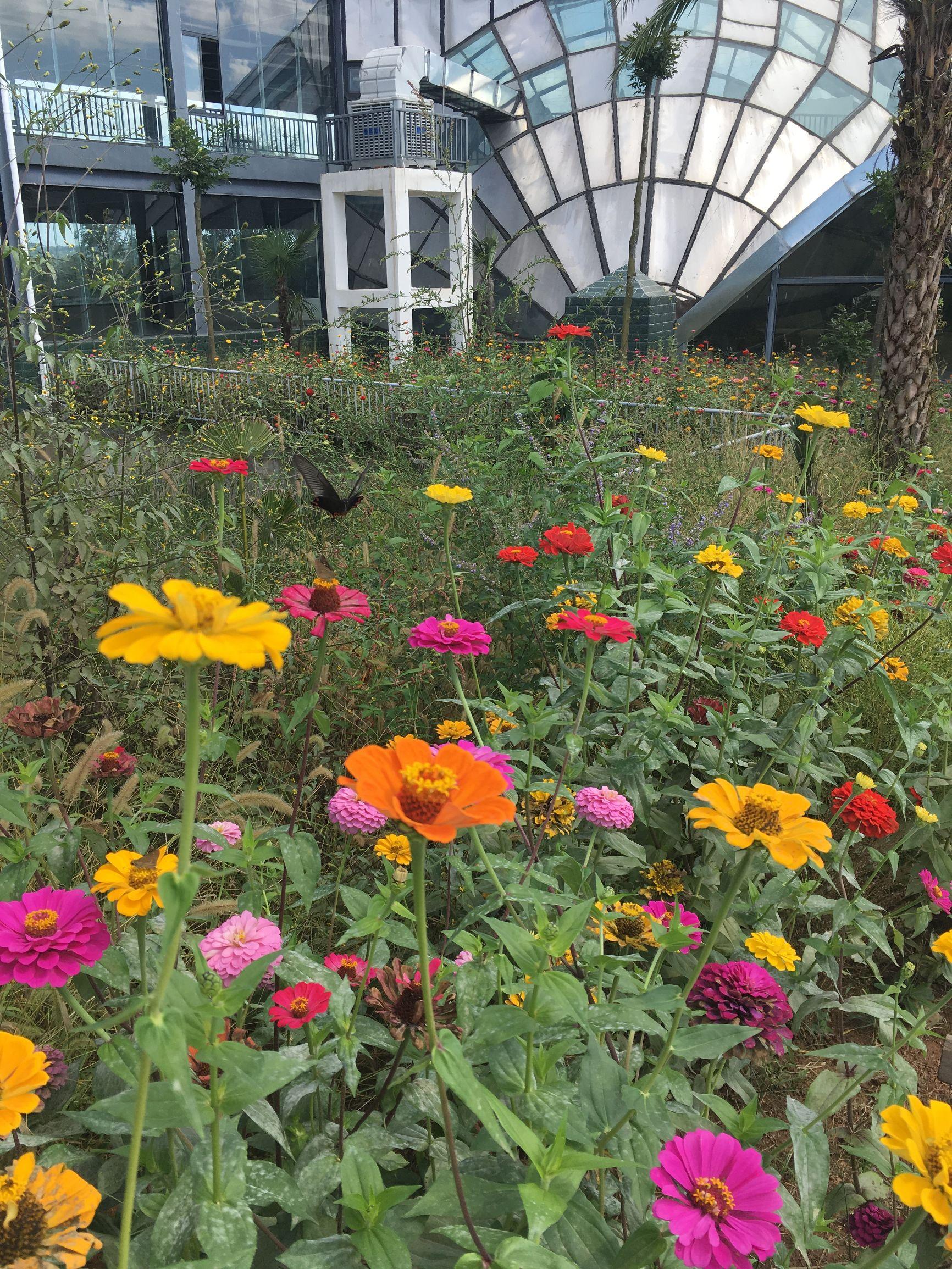 苹果最新本版,探索自然美景的轻松之旅