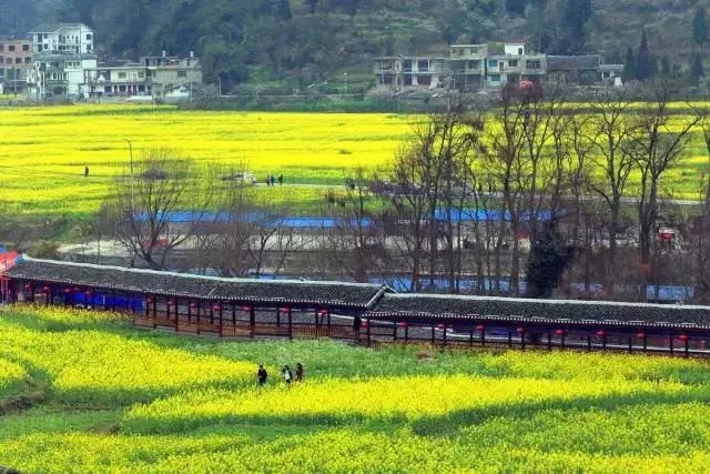 贵定最新疫情,时代的挑战与坚守