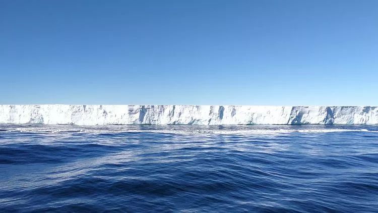 最新南极温度下的暖心日常