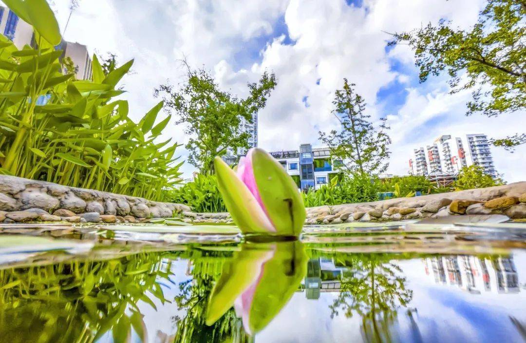 江阴最新场子攻略指南,一步步教你如何完成任务或学习新技能(适合初学者与进阶用户)