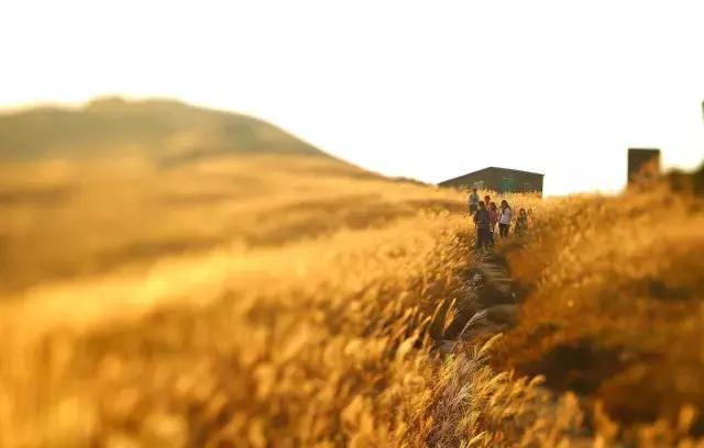 最新英文典,自然美景之旅的心灵启示