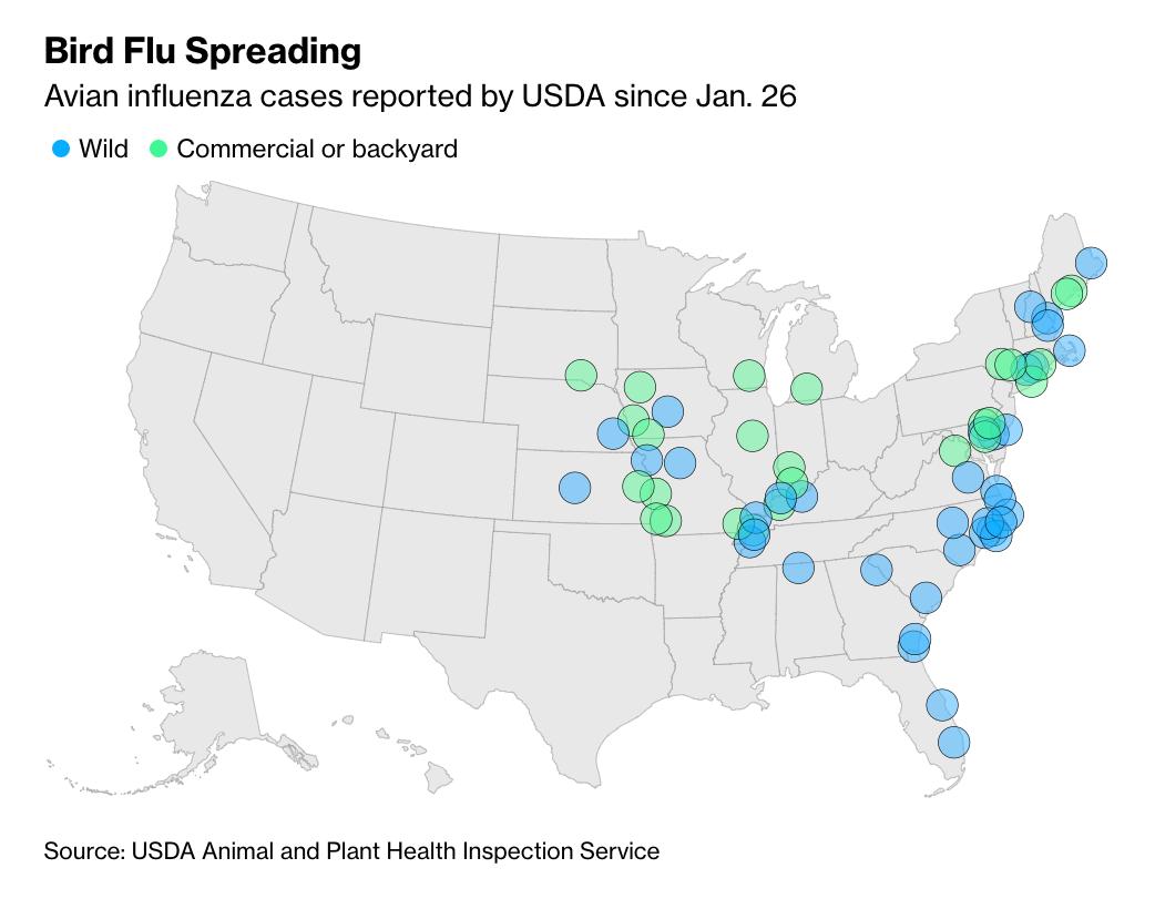 马萨诸塞的最新疫情,一场充满爱与陪伴的日常冒险